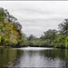 Todd Reaves Photo 3