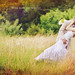 Kathy Bridges Photo 33