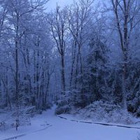 Linda Hudson Photo 8
