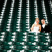 Andrew Schuster Photo 41