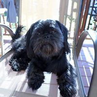 Karen Mckenney Photo 22