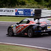 Steve Linton Photo 41