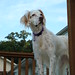 Karen Clayton Photo 39