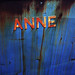 Anne Hull Photo 10