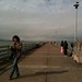 Jamie Gull Photo 10
