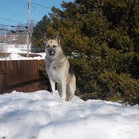 Donna Mckay Photo 34