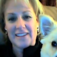 Amy Wolfe Photo 14