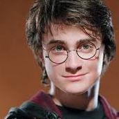 Harry Evans Photo 12