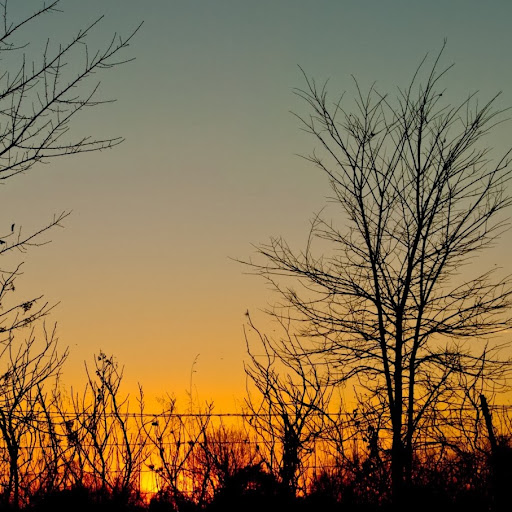 Andrew Skaggs Photo 17
