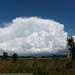 Erin Griffiths Photo 31