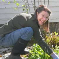 Lynne Birdsall Photo 4