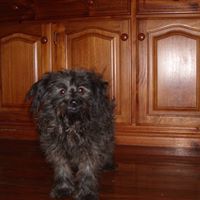 Frank Magee Photo 6