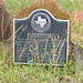 Samuel Mccracken Photo 5