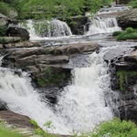 Debra Graves Photo 40