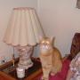Joann Rogers Photo 12