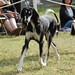 Deborah Ratliff Photo 15