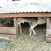 Sharon York Photo 28