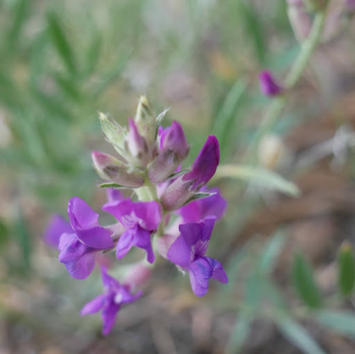 Judy Satterlee Photo 5