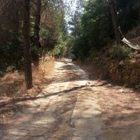 El Charaf Photo 9
