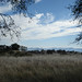Todd Wilkinson Photo 36