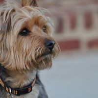Robert Overby Photo 9