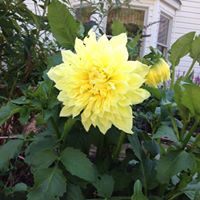 Linda Kessinger Photo 17