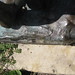 Paul Martinus Photo 6