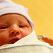 Thomas Conner Photo 28