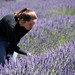 Sarah Lavender Photo 31