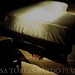 Rosa Pardo Photo 39