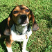 Jennifer Beagle Photo 23