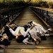 Mary Dominguez Photo 3