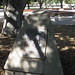 John Stanford Photo 42
