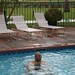 Terry York Photo 47