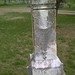 Jackson Williams Photo 8