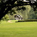 Donald Moore Photo 23