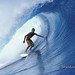 Sean Healey Photo 19