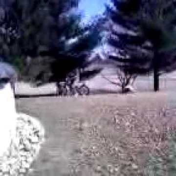 Cody Neff Photo 10