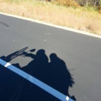 Lisa Webster Photo 46