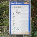 Anne Park Photo 21