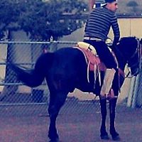 Willie Escobedo Photo 12
