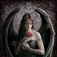 Nicole Forsyth Photo 9