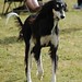 Deborah Ratliff Photo 14