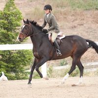 Cynthia Cain Photo 22