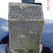 Theodore Witt Photo 7