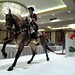 Deborah Griffin Photo 29
