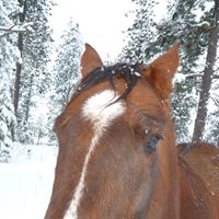 Barry Sherman Photo 28
