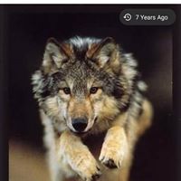 Judy Whitacre Photo 6