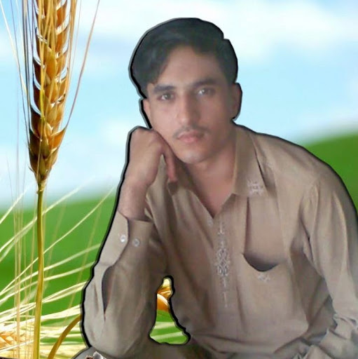 Naveed Ahmed Photo 26