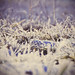 Albert Summers Photo 9